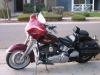SOFTAIL DELUXE FAIRING 94+ (NO STEREO)
